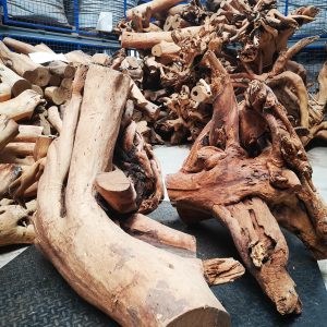 Sandalwood Oil (Santalum Spicatum) - Australian